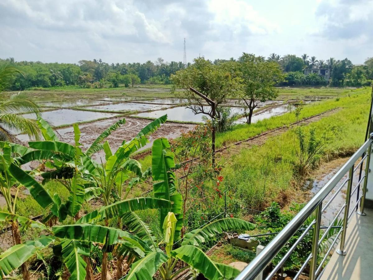 Freedom Of Green Rice View Anurâdhapura Extérieur photo