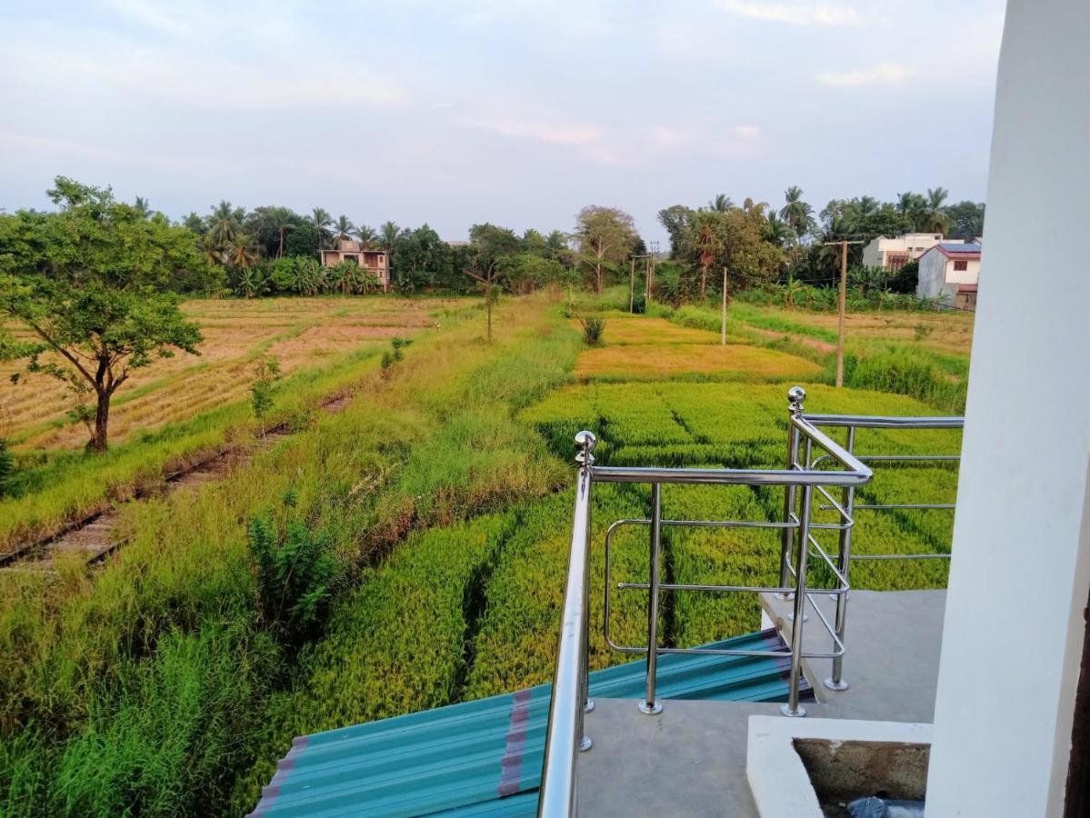 Freedom Of Green Rice View Anurâdhapura Extérieur photo