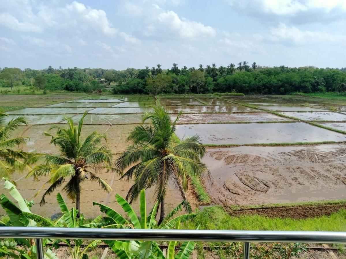 Freedom Of Green Rice View Anurâdhapura Extérieur photo