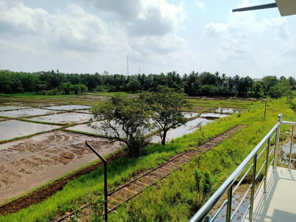 Freedom Of Green Rice View Anurâdhapura Extérieur photo