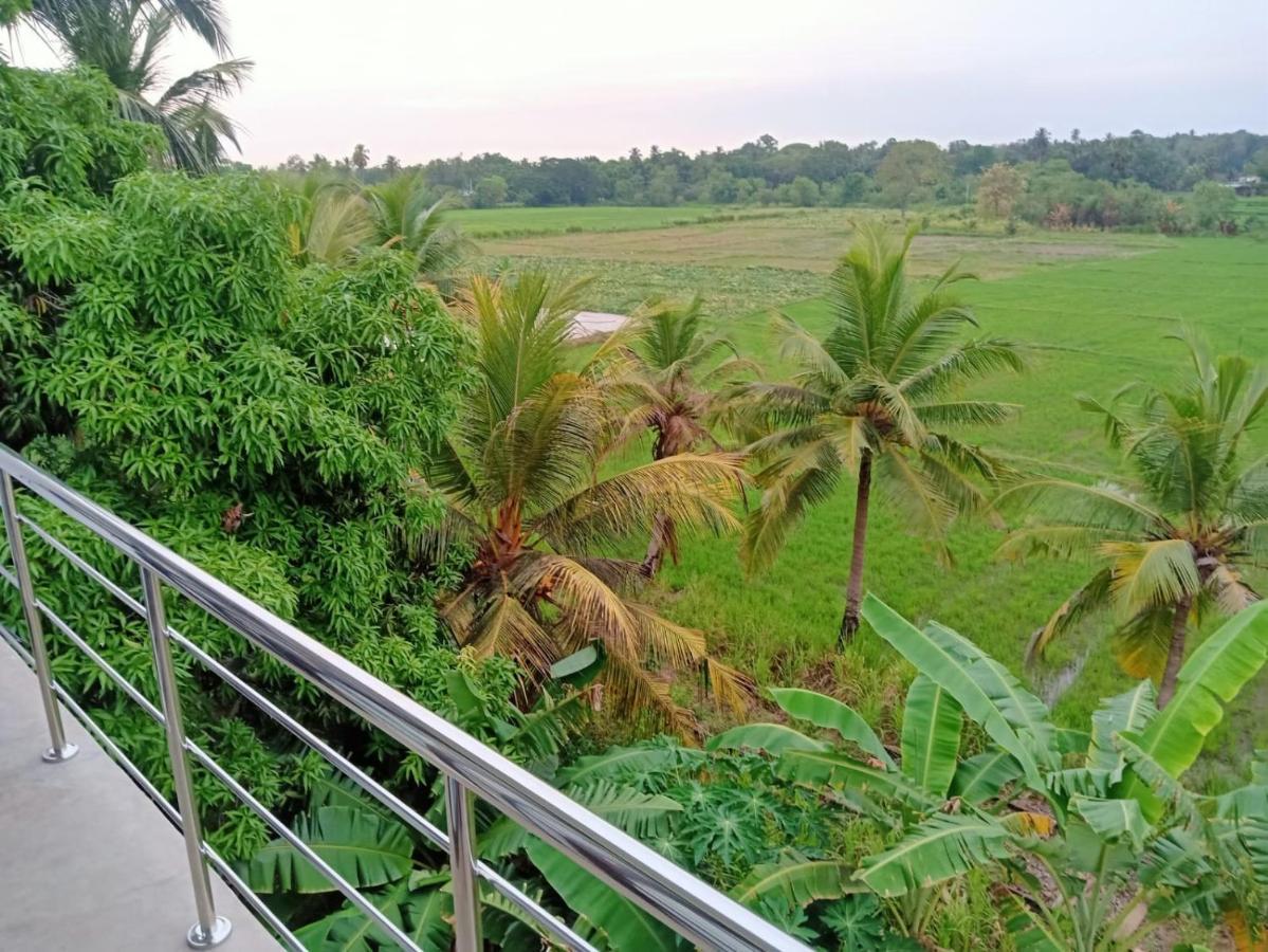 Freedom Of Green Rice View Anurâdhapura Extérieur photo