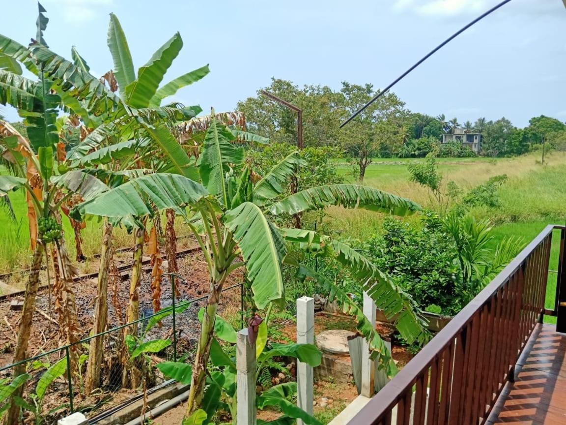 Freedom Of Green Rice View Anurâdhapura Extérieur photo